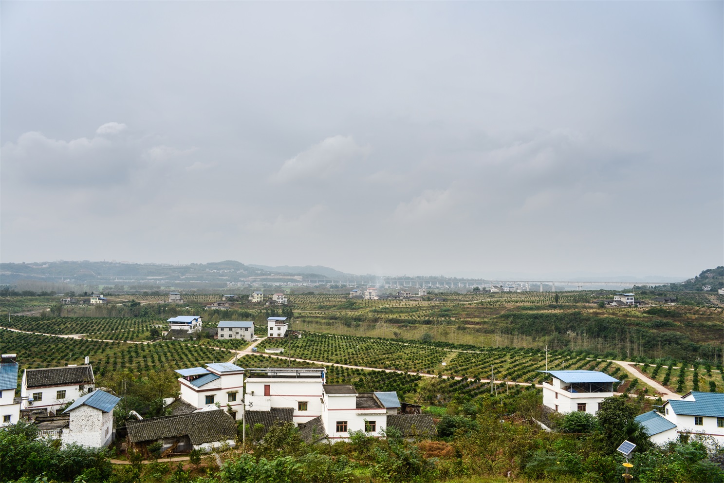 基地鳥瞰