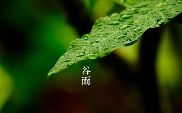 谷雨 | 雨生百谷，萬物逢時